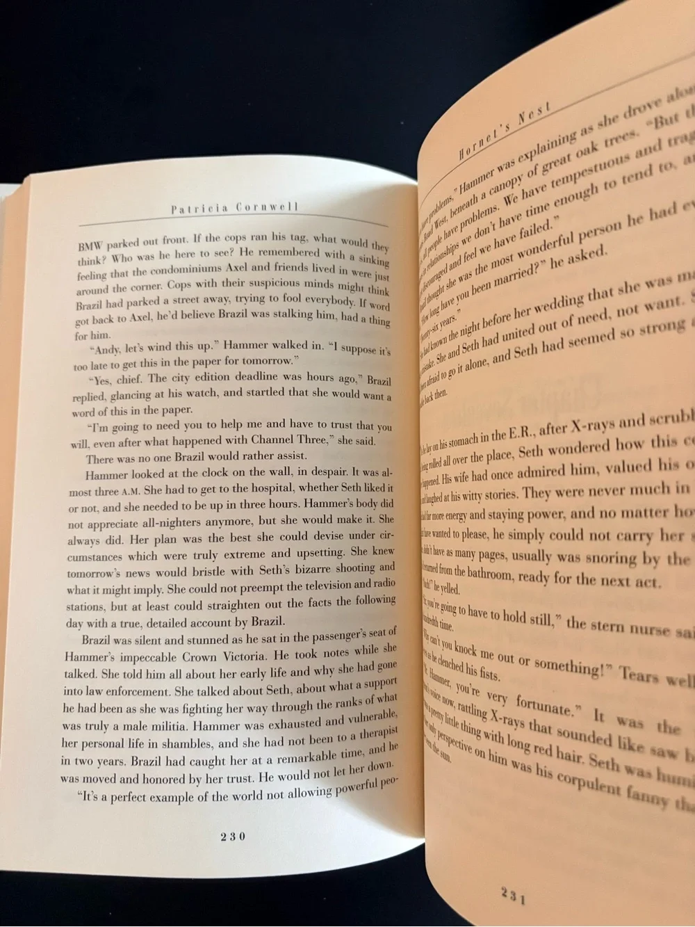 Hornet's Nest by Patricia Cornwell Hardcover Book -Book 1 of 3 Andy Brazil - Picture 4 of 8